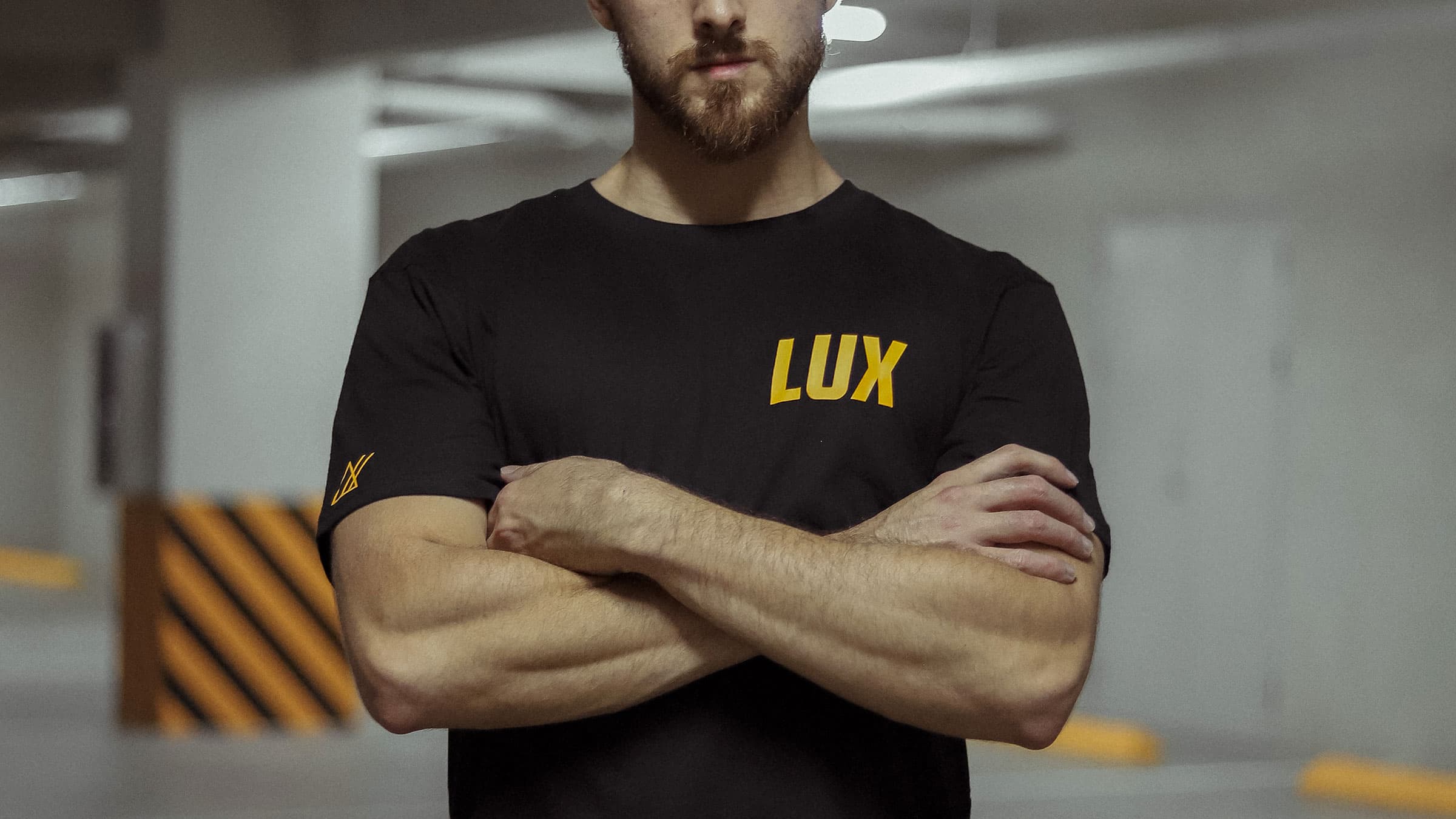 Lux Project. Cover image